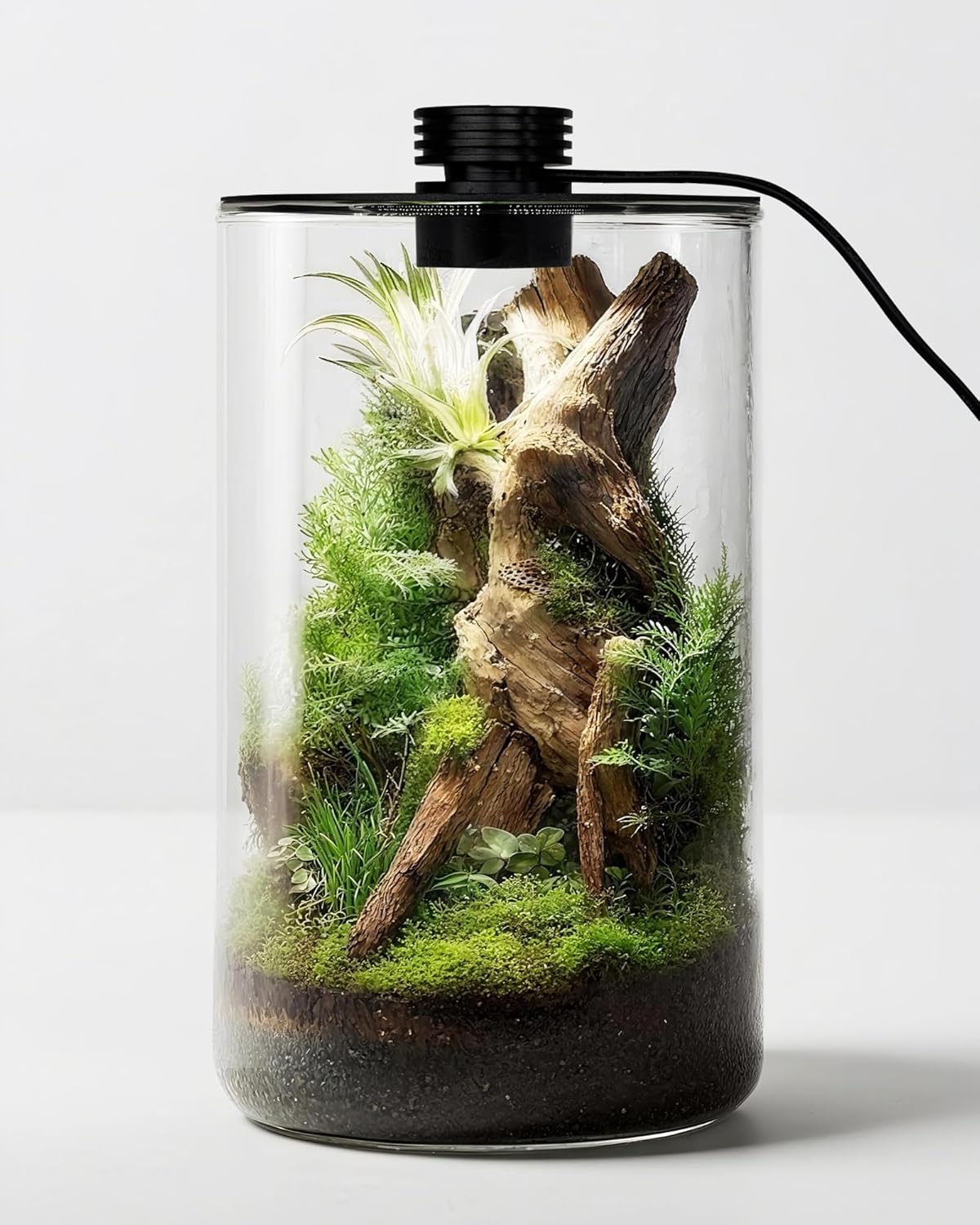 Indoor Glass Terrarium with Gr - огляд і ціна Office Lighting Decor